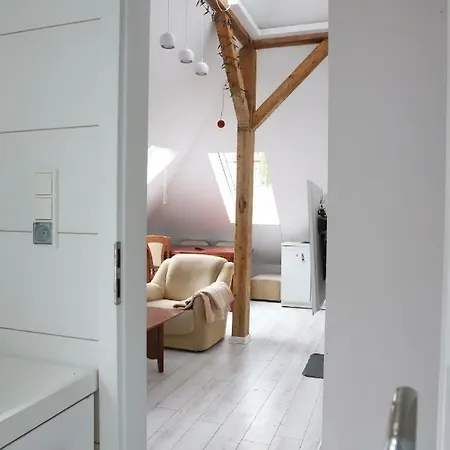 Biale Poddasze Apartment *